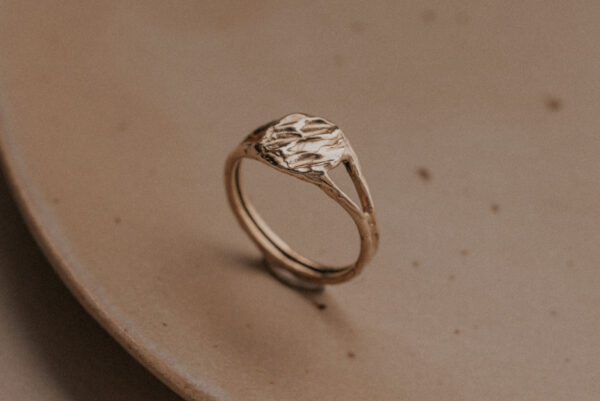 Signet ring in gold