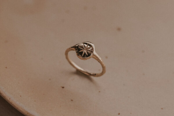 Diosma Ring with Star - 9k & 14k Gold - Image 2