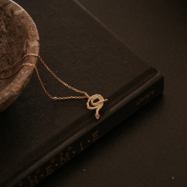 Rebirth Snake Charm met Facetketting of Satijnkoord - Brass/Messing