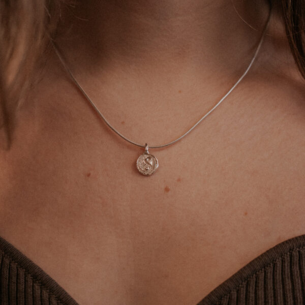 Balance to Nature aan Slangen collier - Zilver