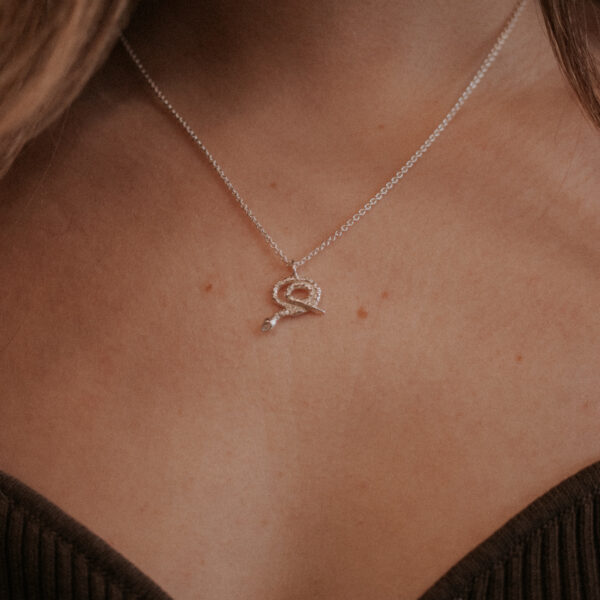 Rebirth Snake Charm aan Facet ketting - Zilver
