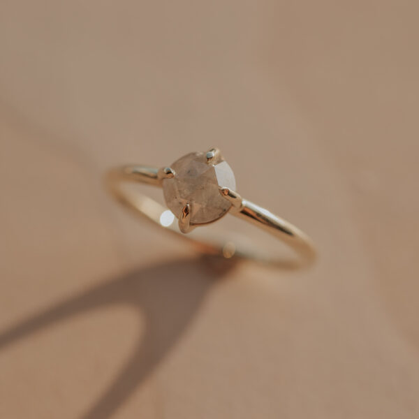 Ring met ice diamant in pootjes zetting - 14k goud