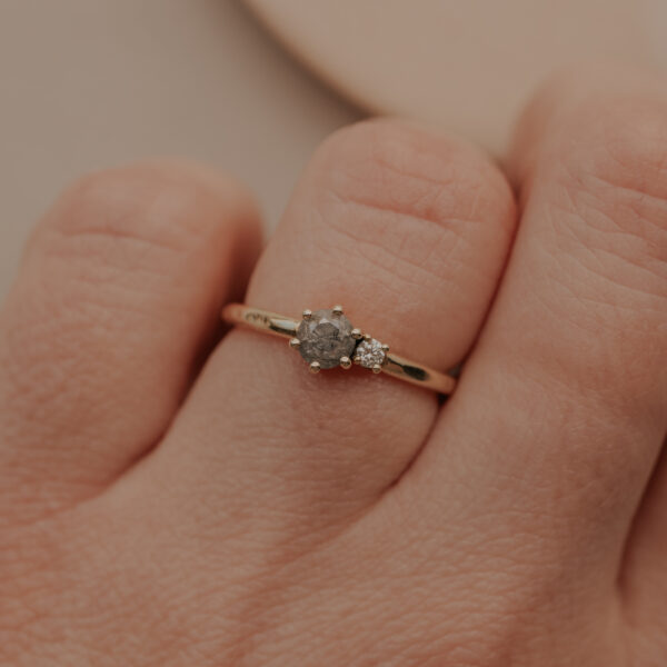 Ring met salt & pepper briljant en heldere accent briljant - 14k goud